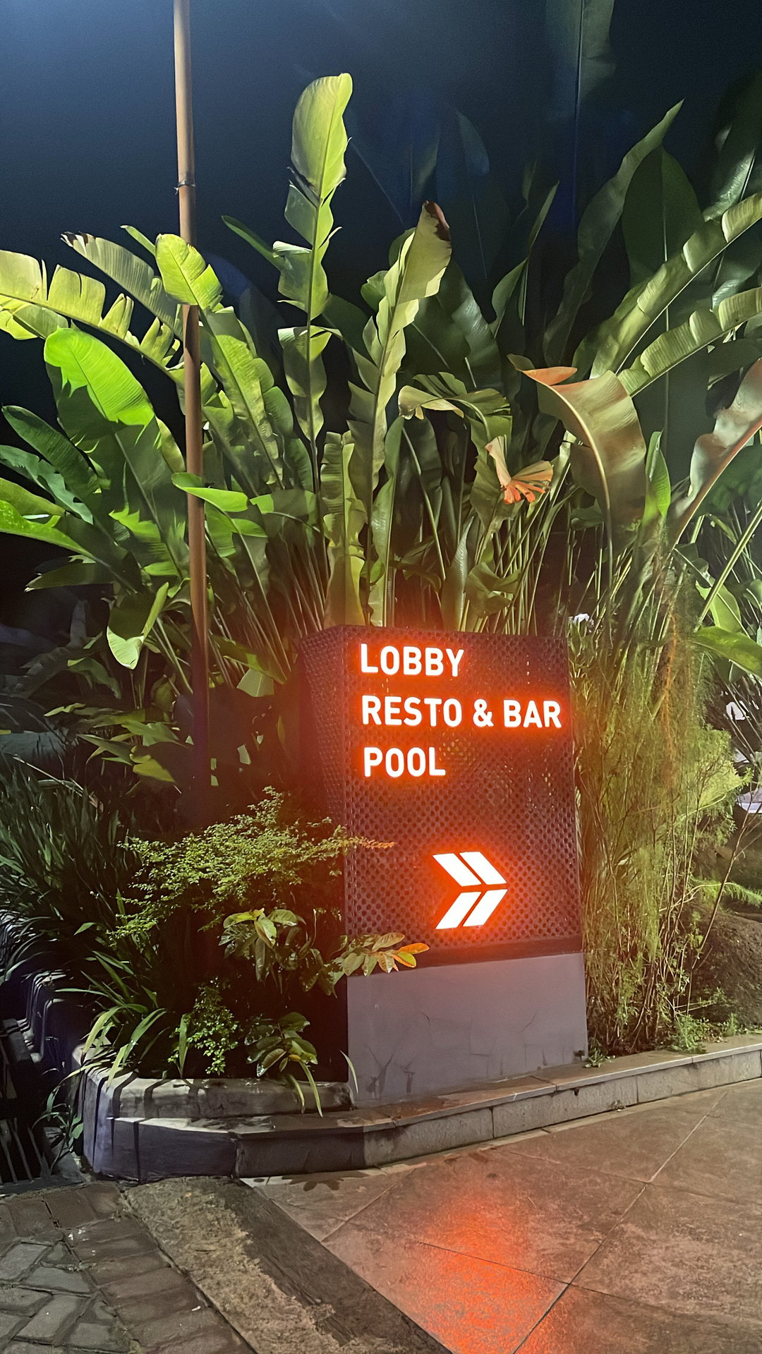 userImage-1