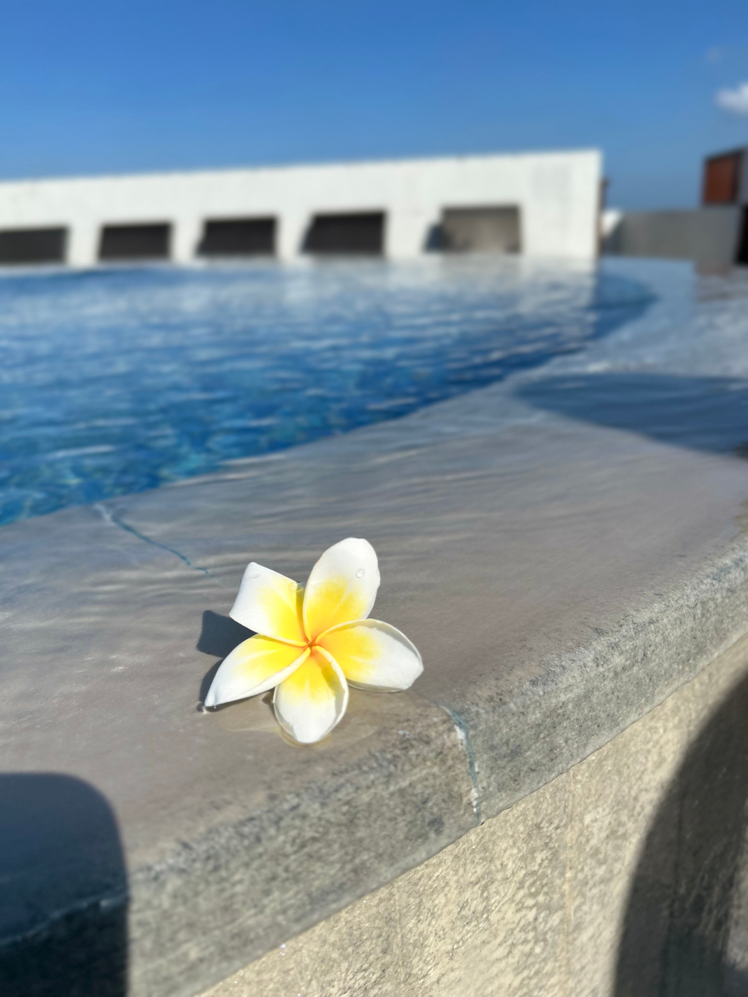 userImage-1