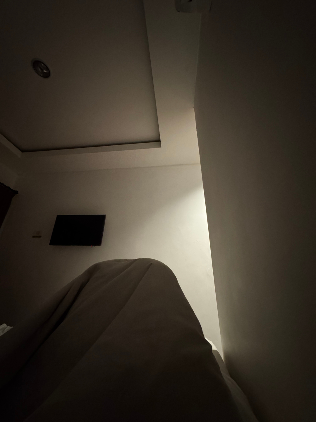 userImage-4
