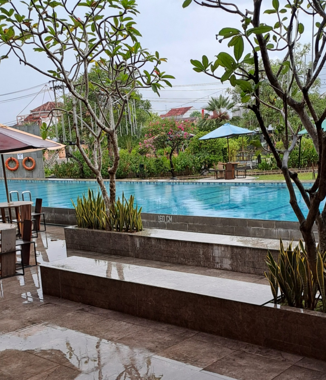 userImage-1