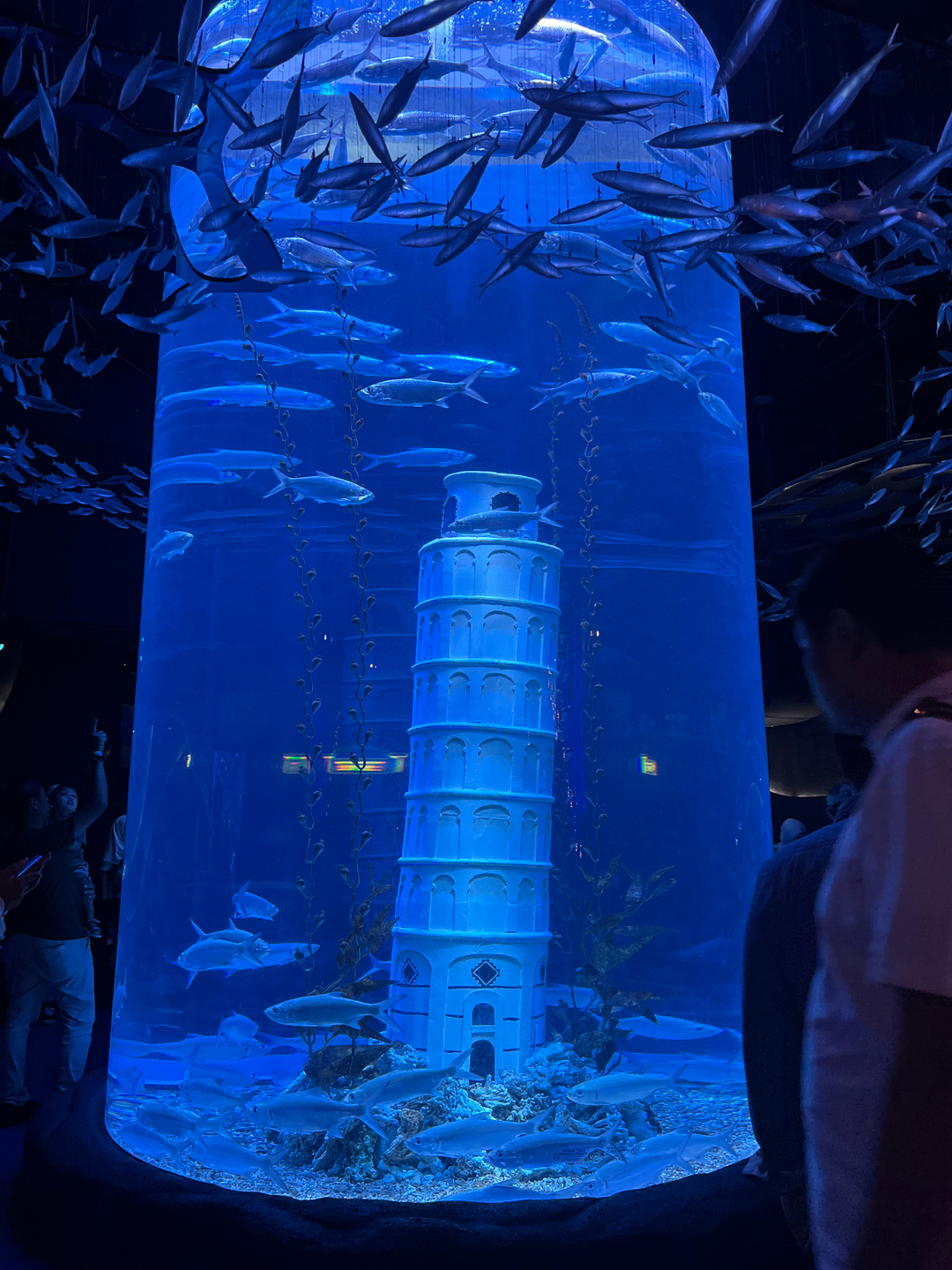 userImage-3