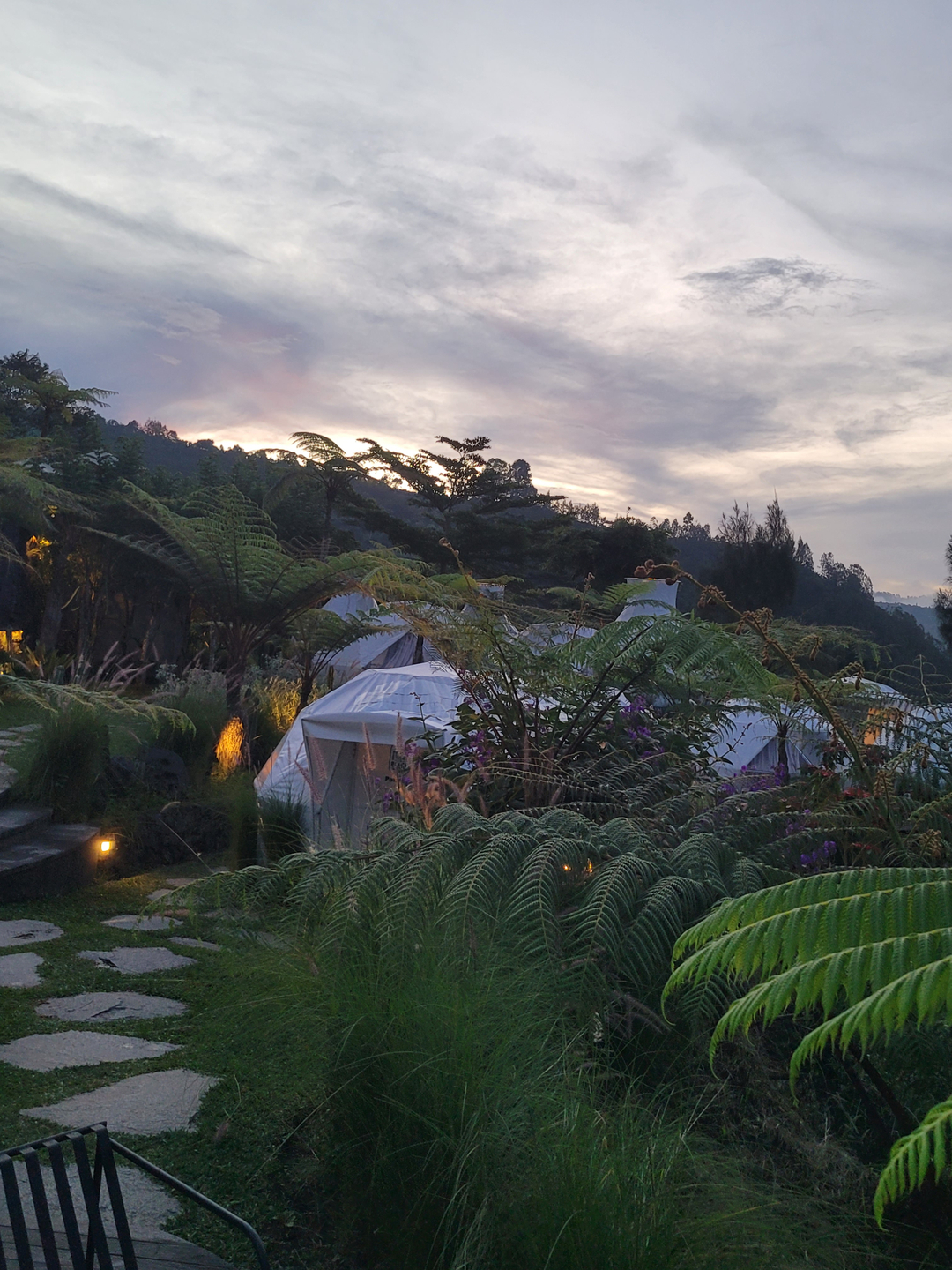 userImage-10