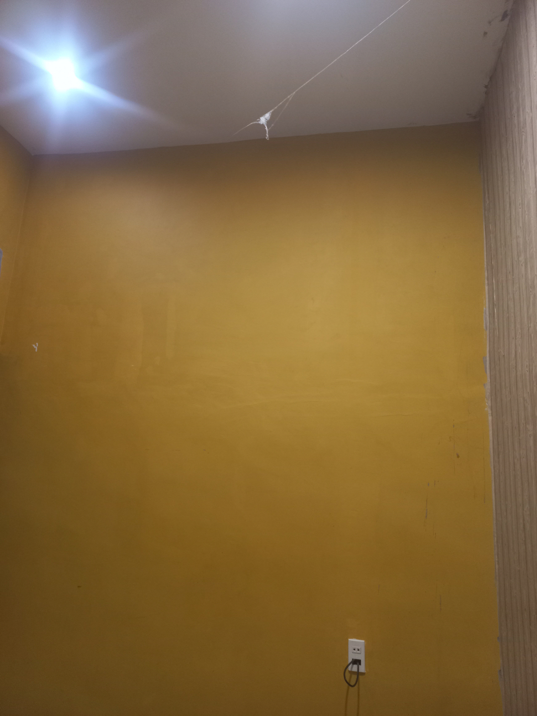 userImage-1