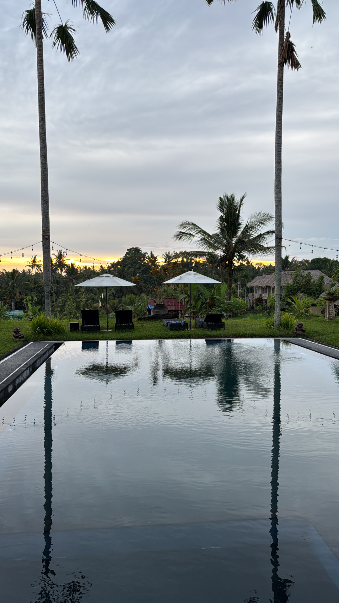 userImage-7
