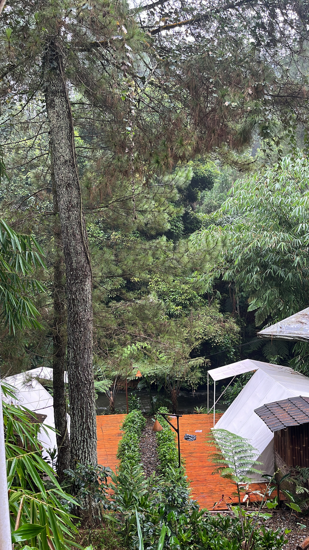 userImage-14
