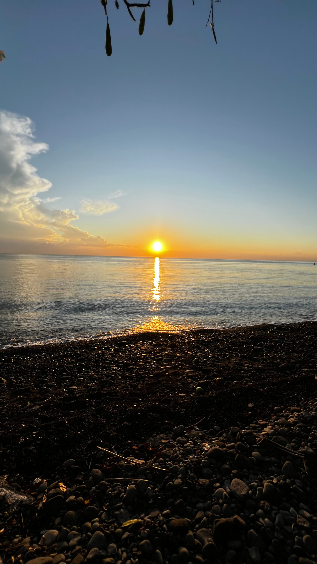 userImage-1