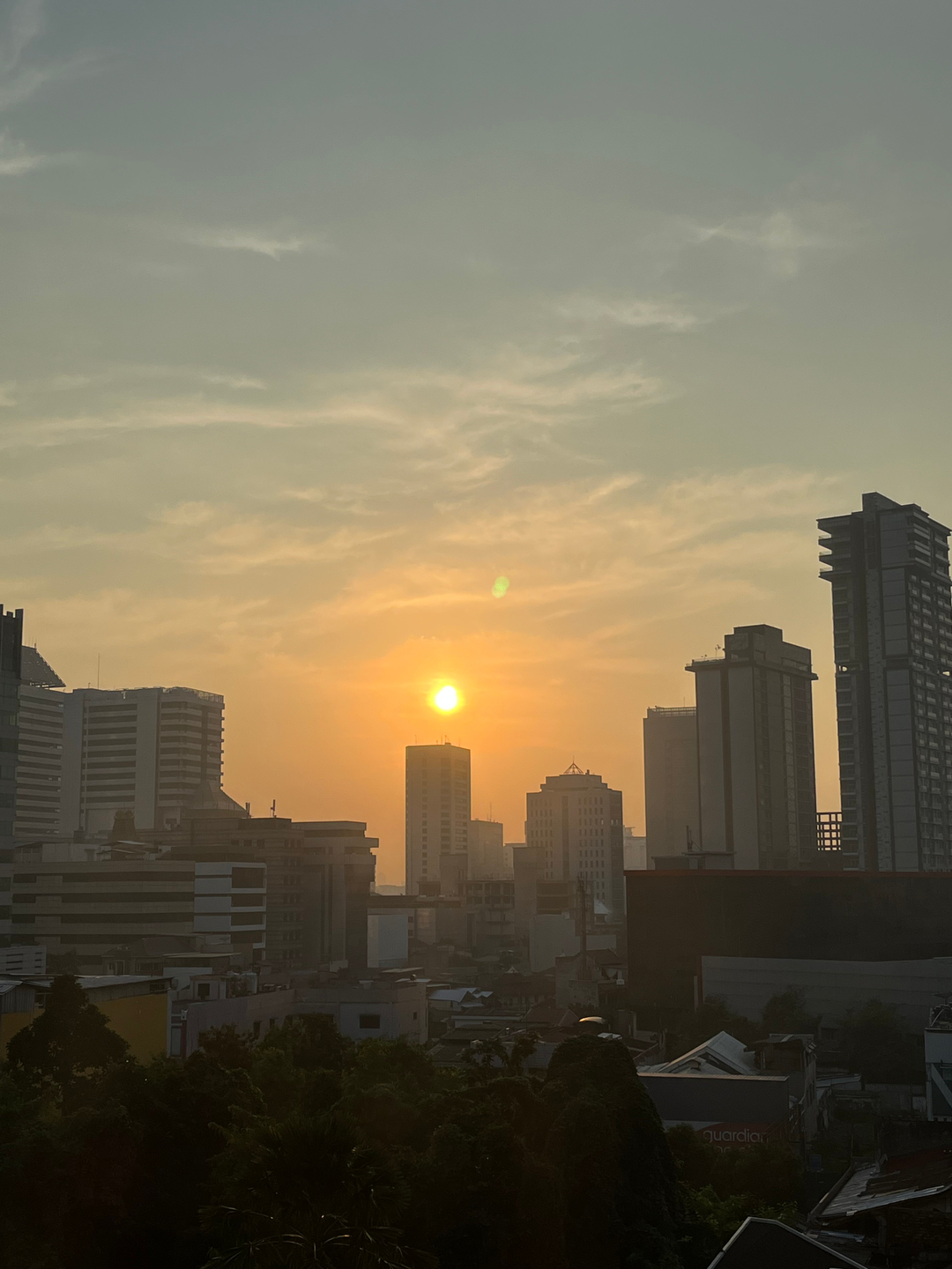 userImage-1