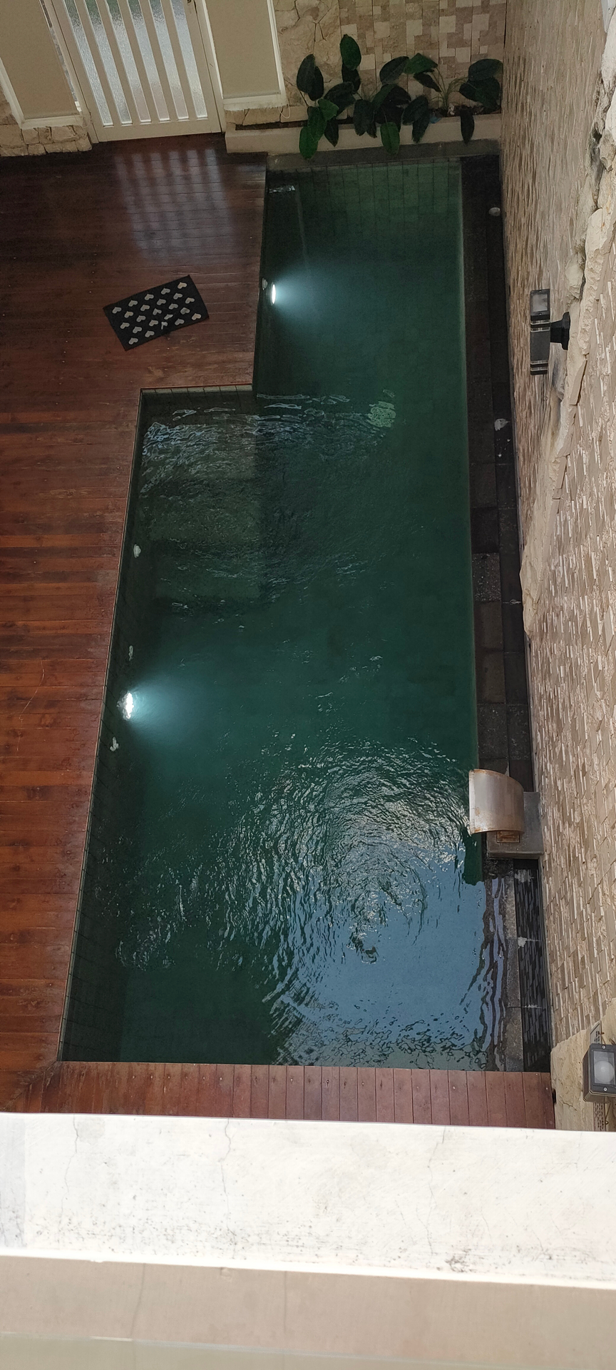 userImage-1