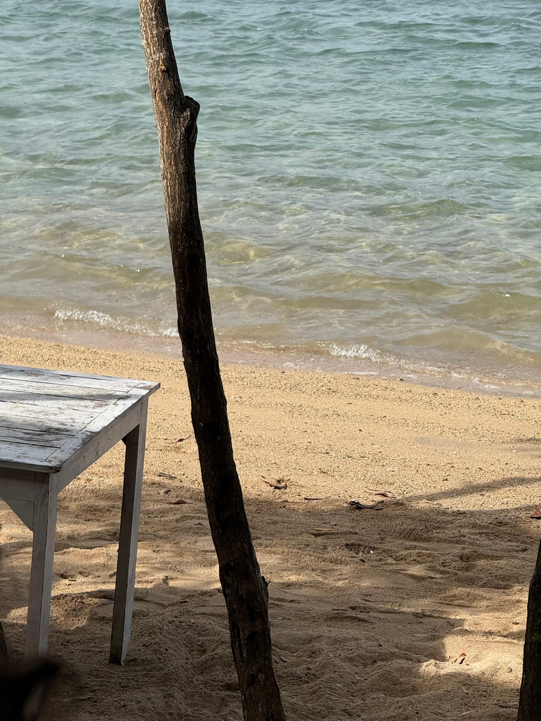 userImage-7