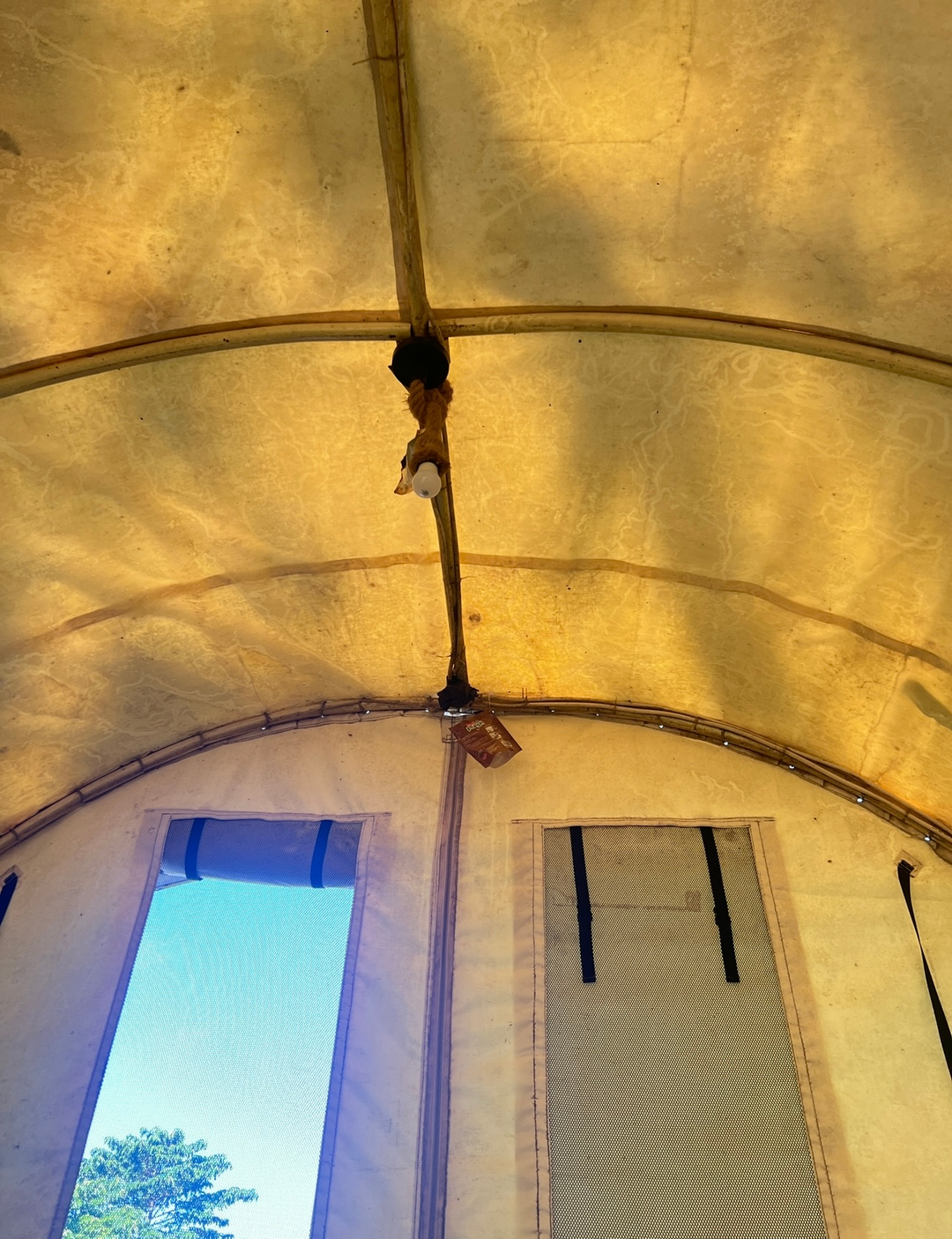 userImage-6