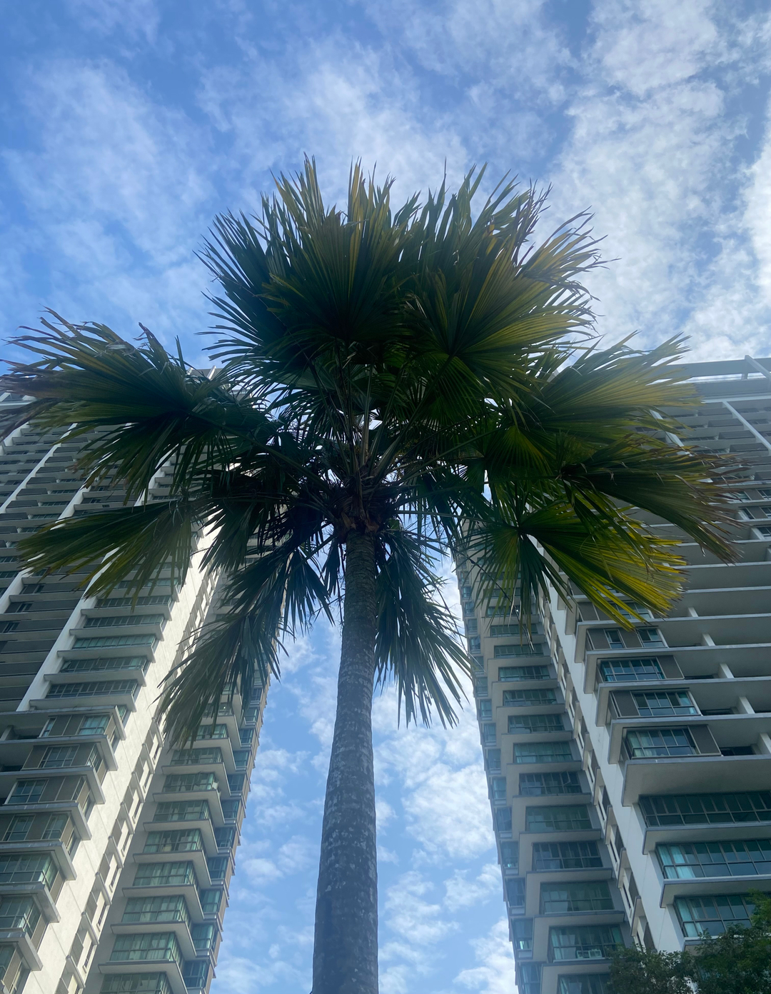 userImage-2