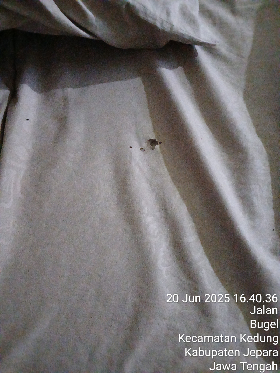 userImage-6