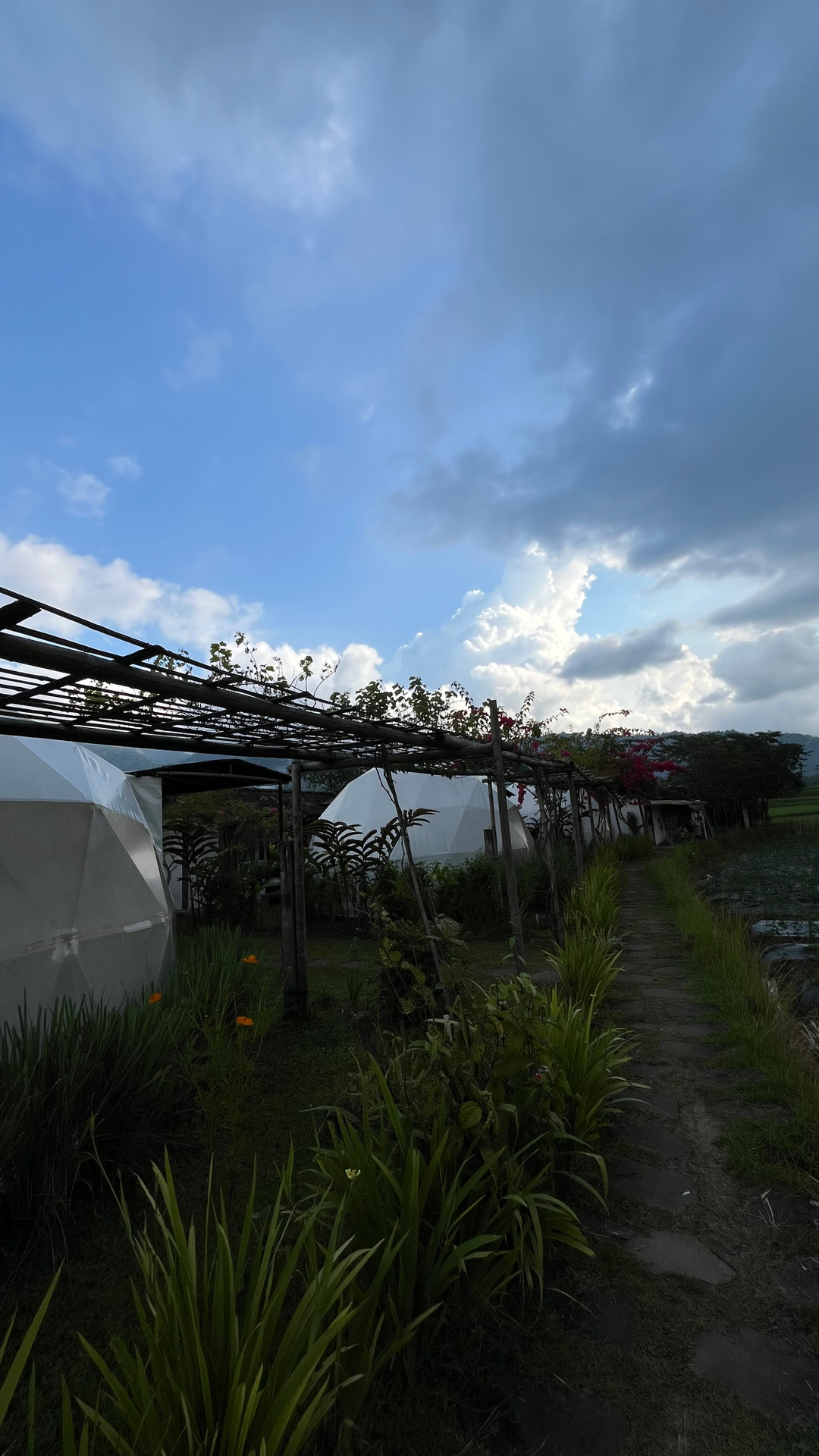 userImage-19