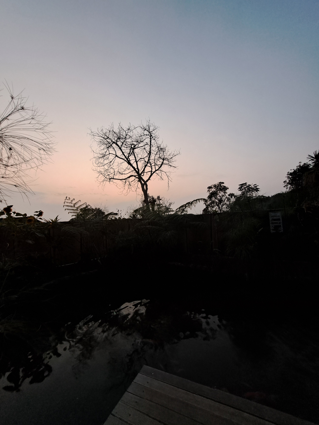 userImage-13