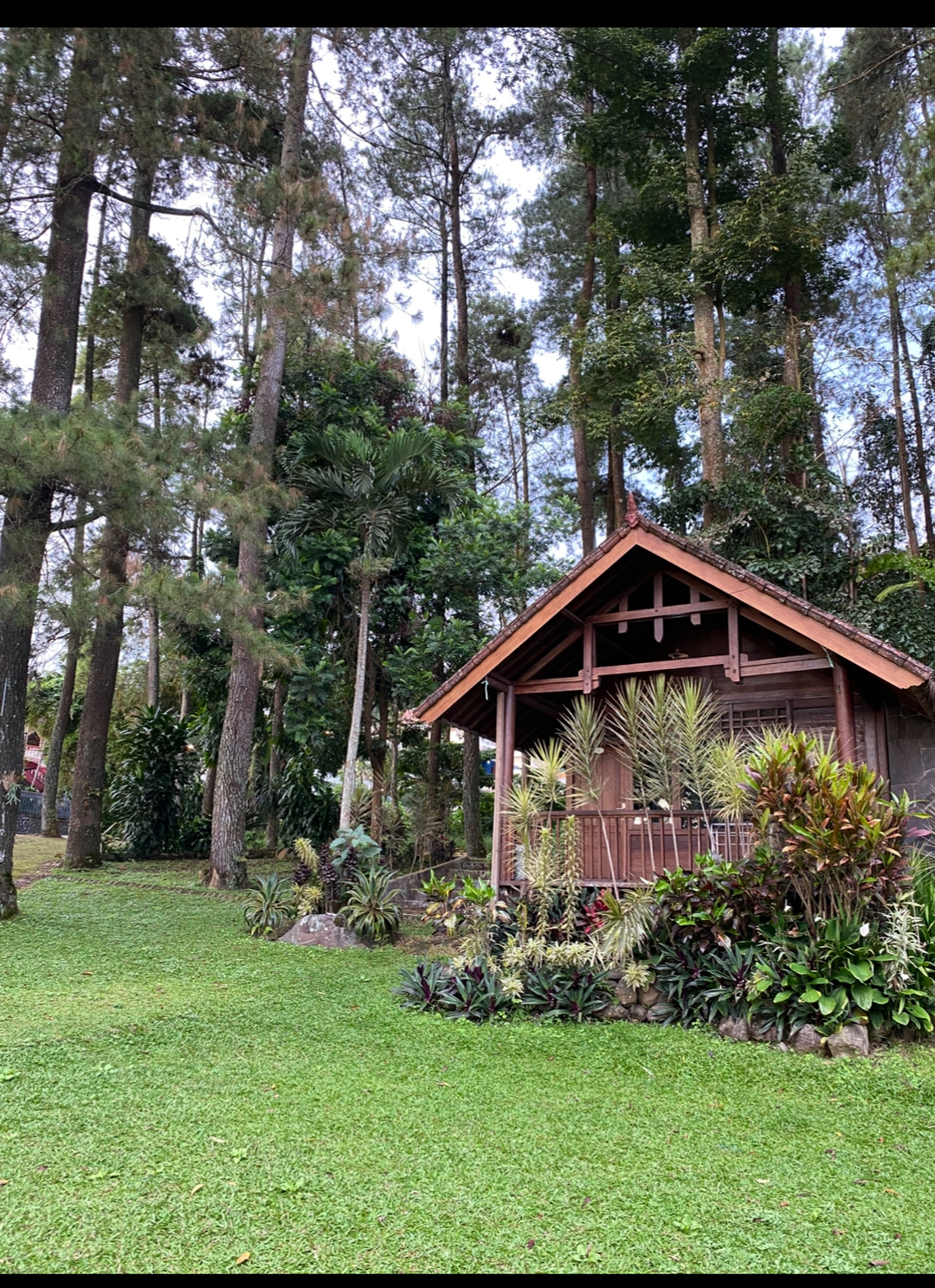 userImage-10