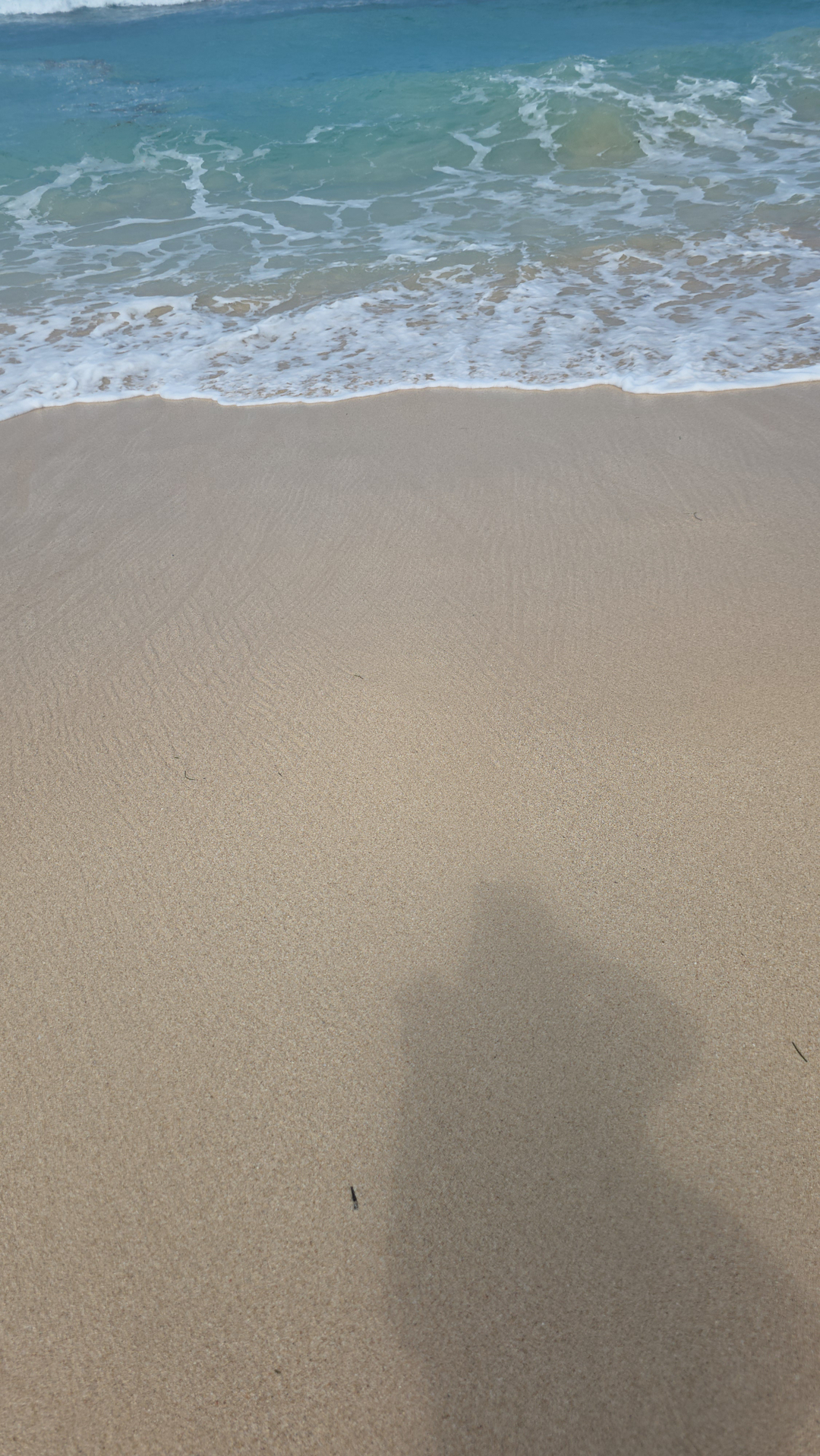 userImage-12