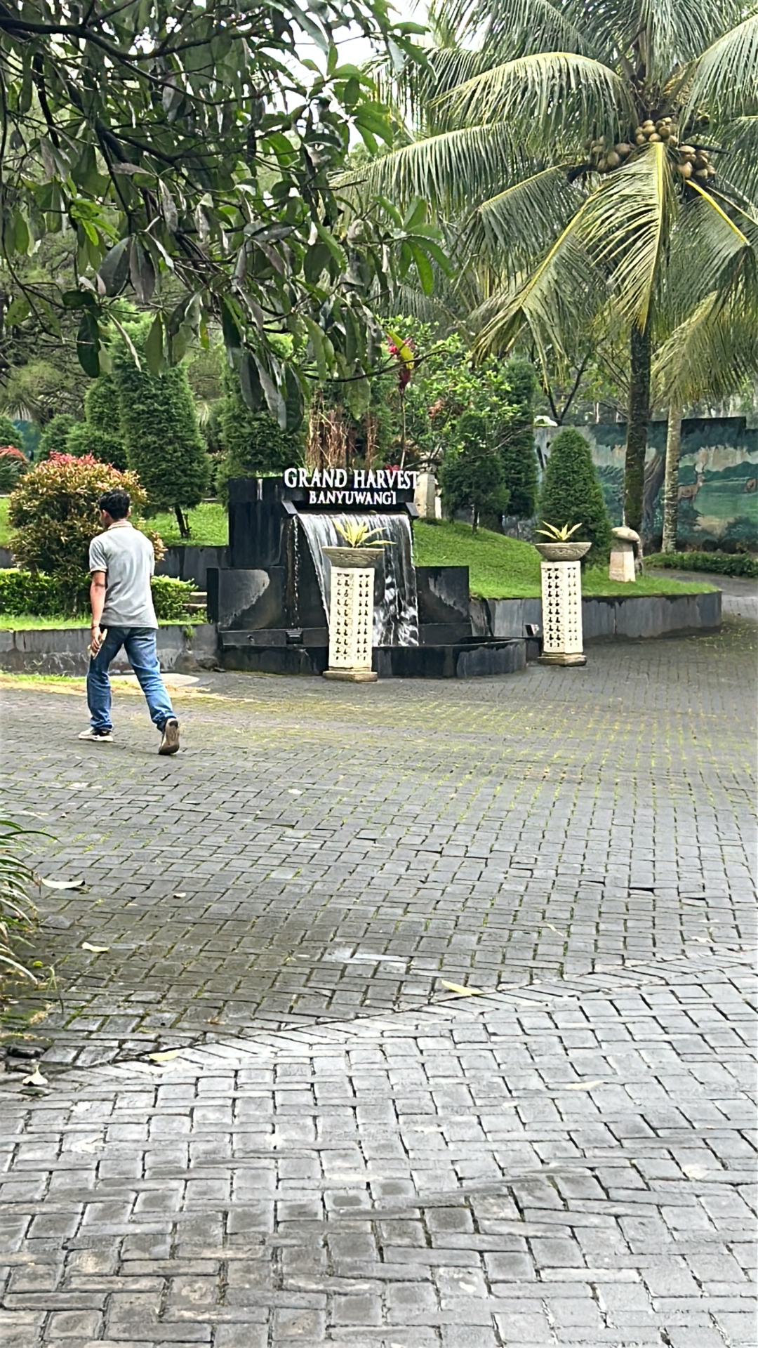 userImage-0