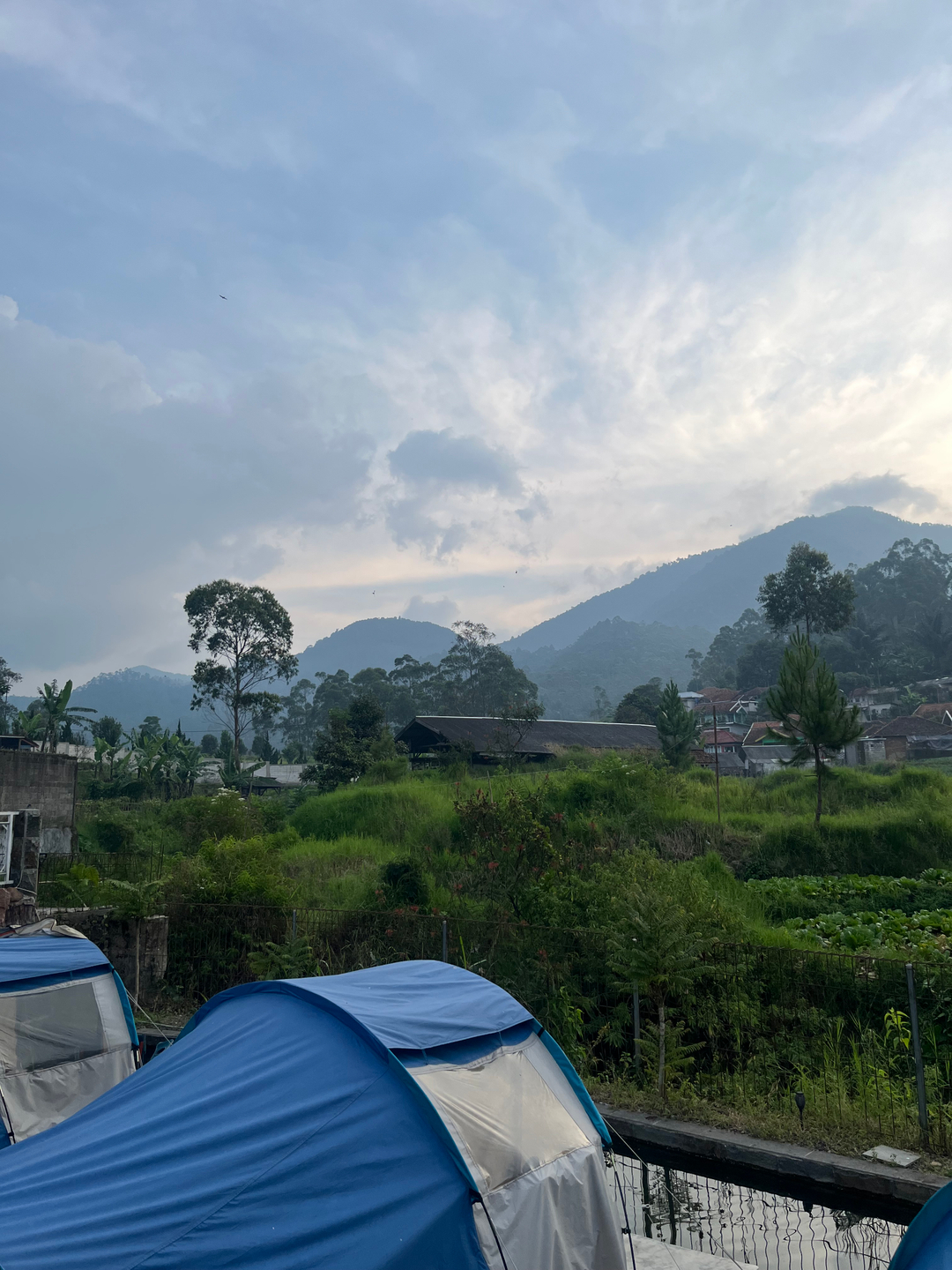 userImage-1