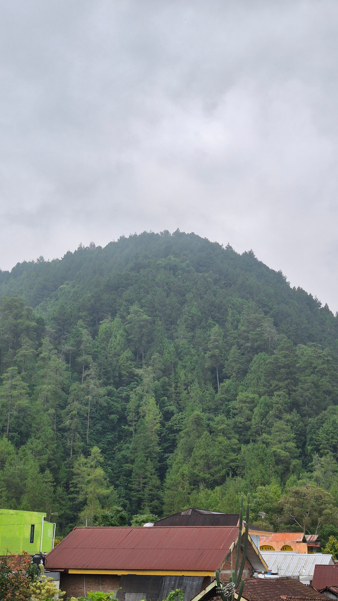 userImage-15