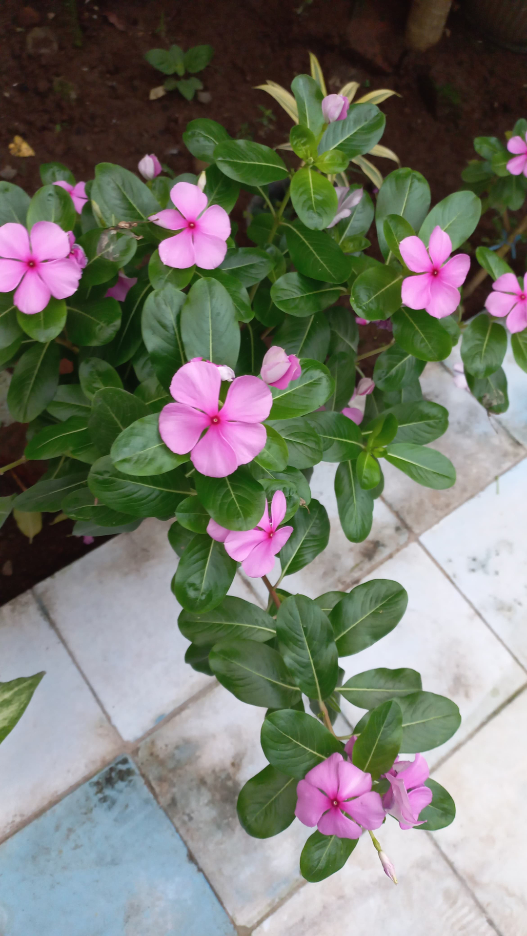 userImage-12