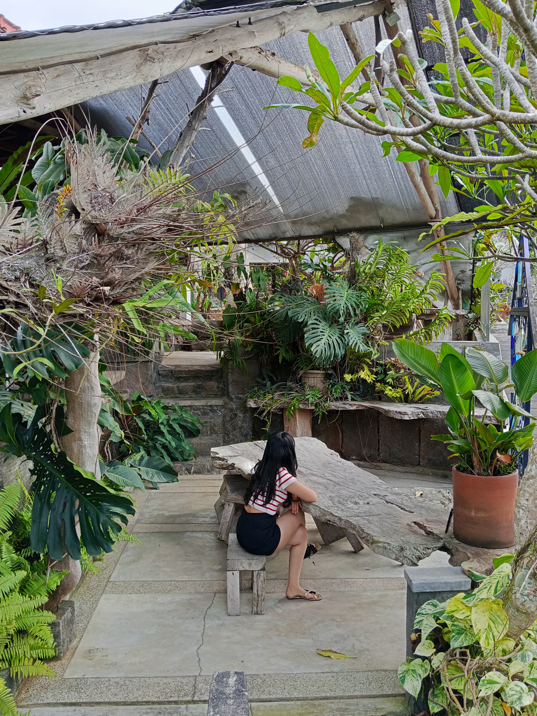 userImage-6