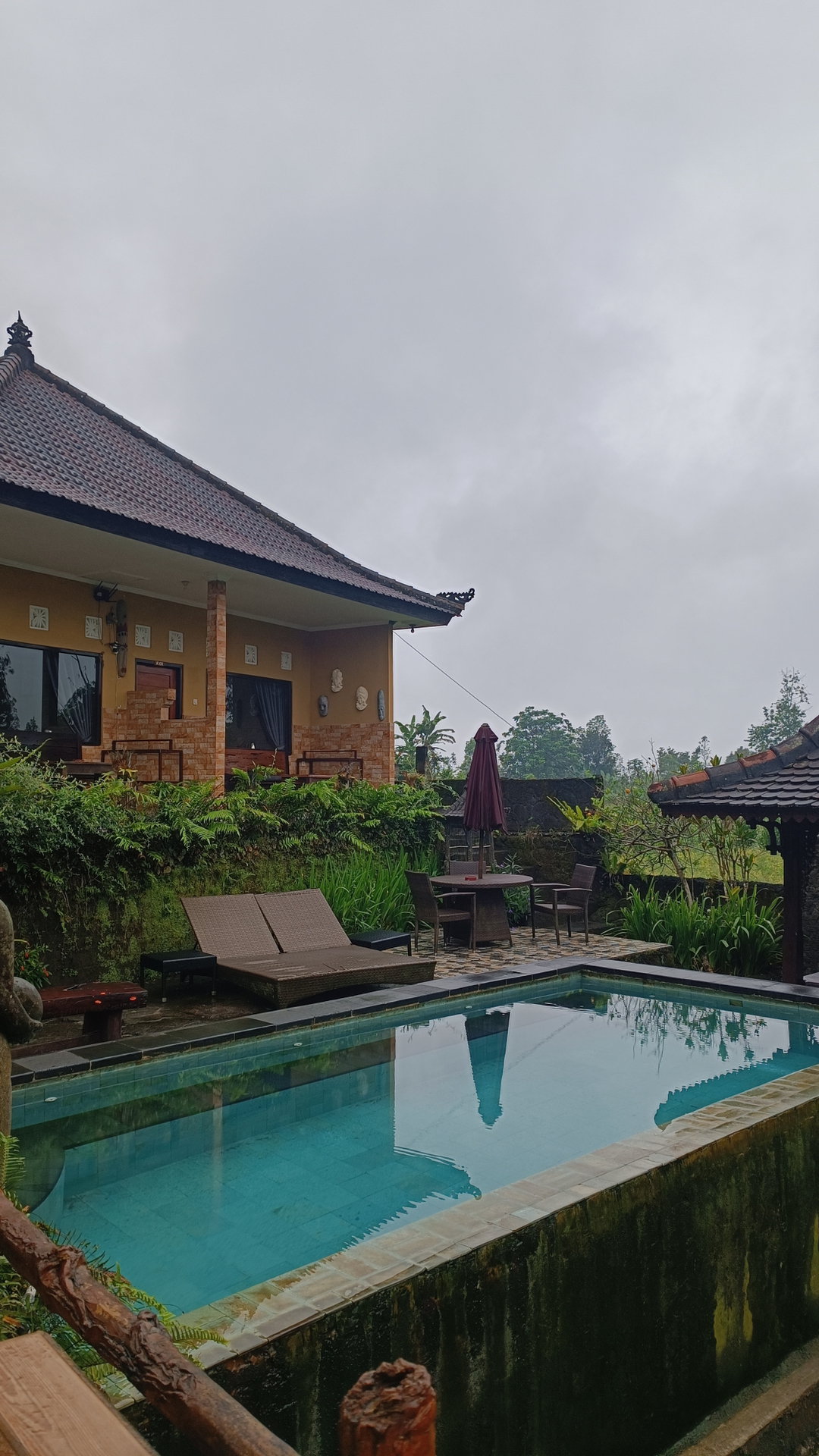 userImage-15