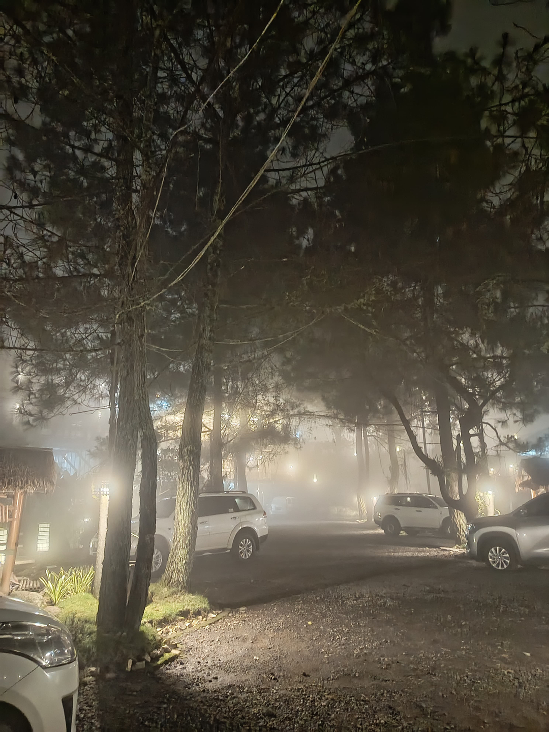 userImage-2