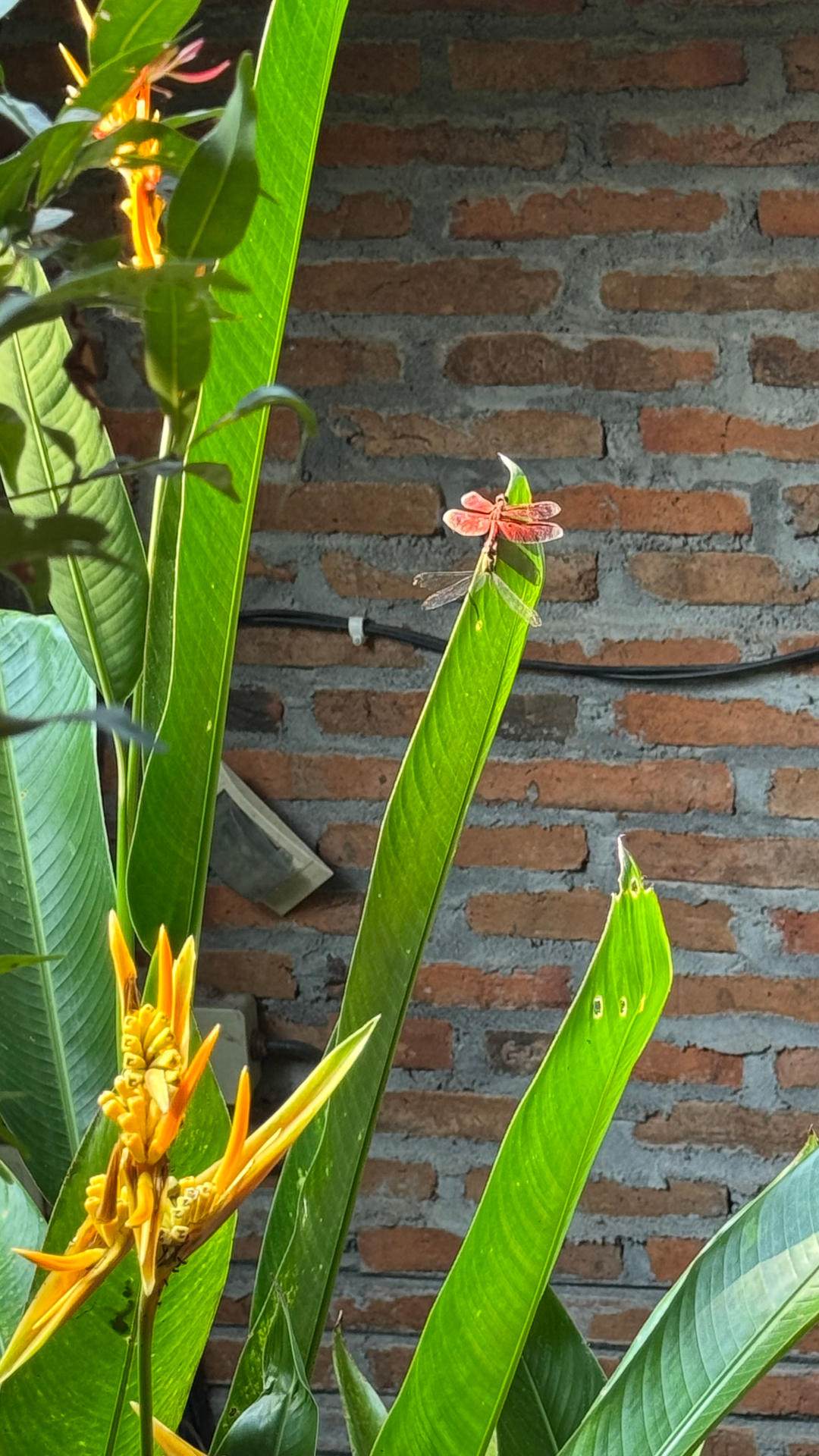 userImage-6