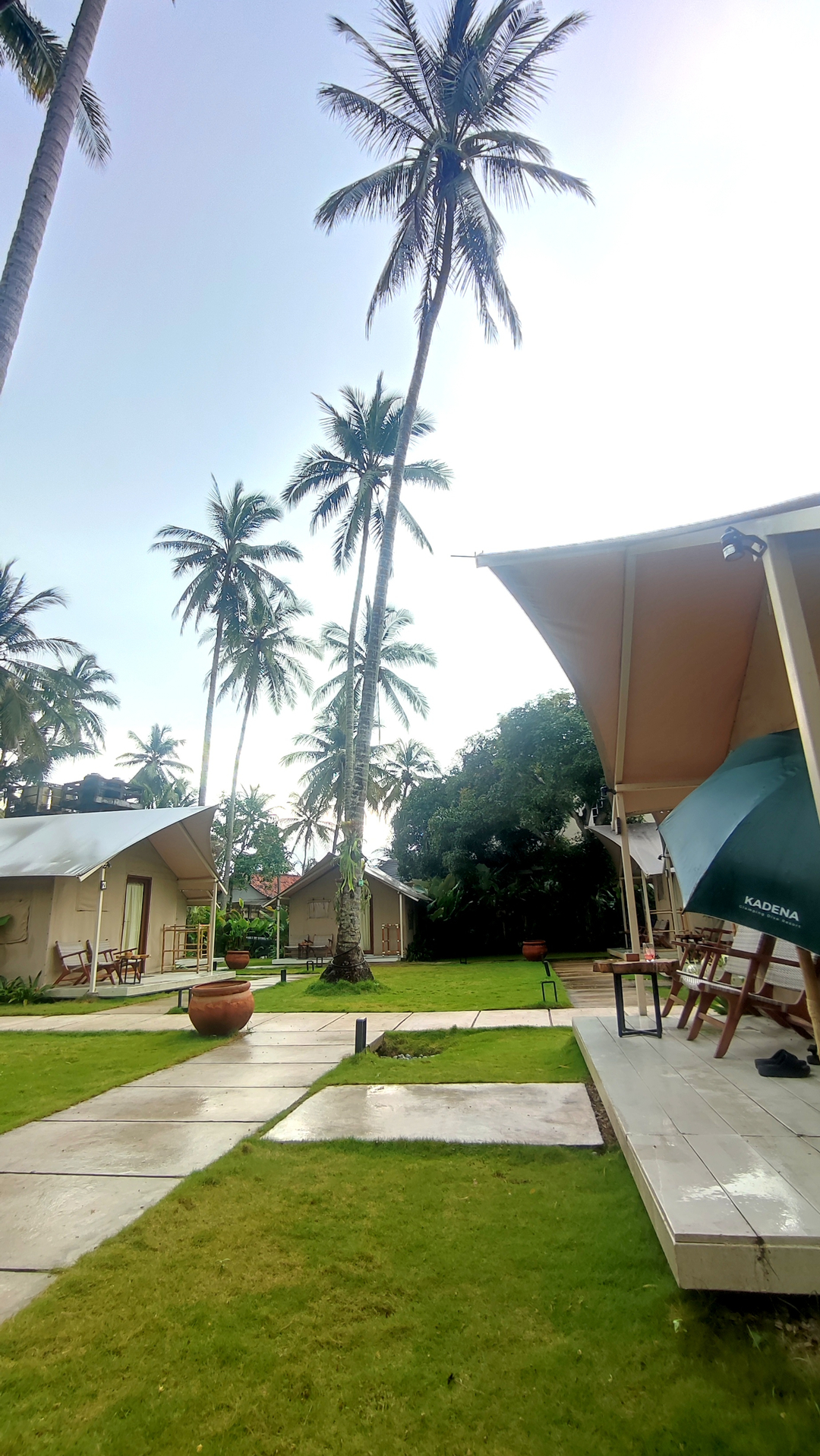 userImage-1