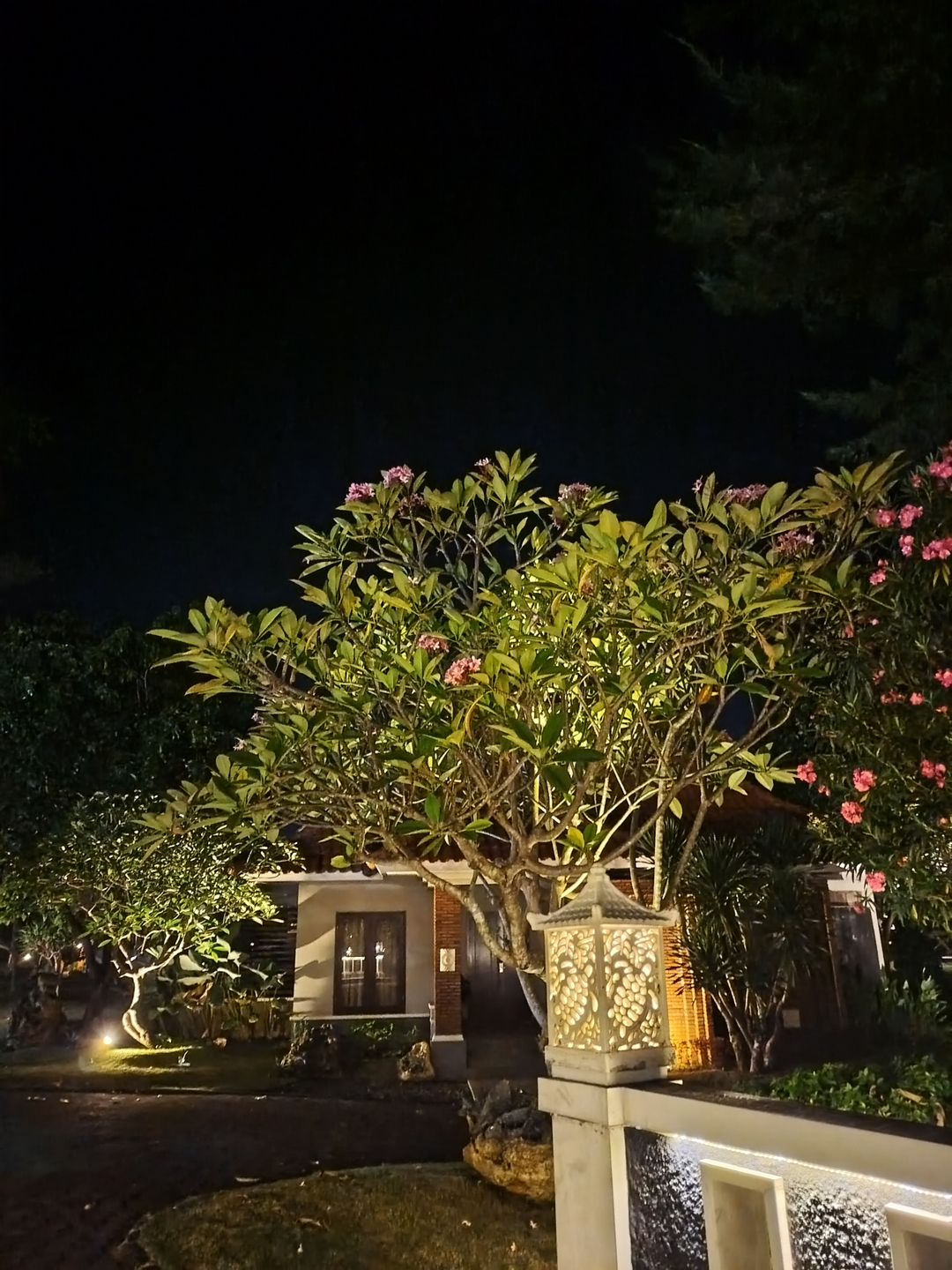 userImage-9
