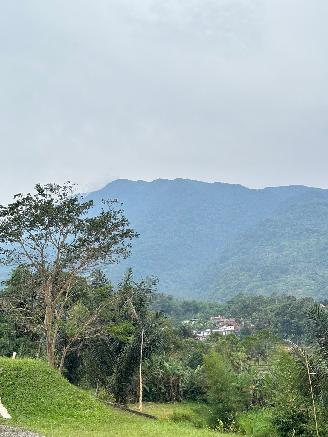 userImage-5