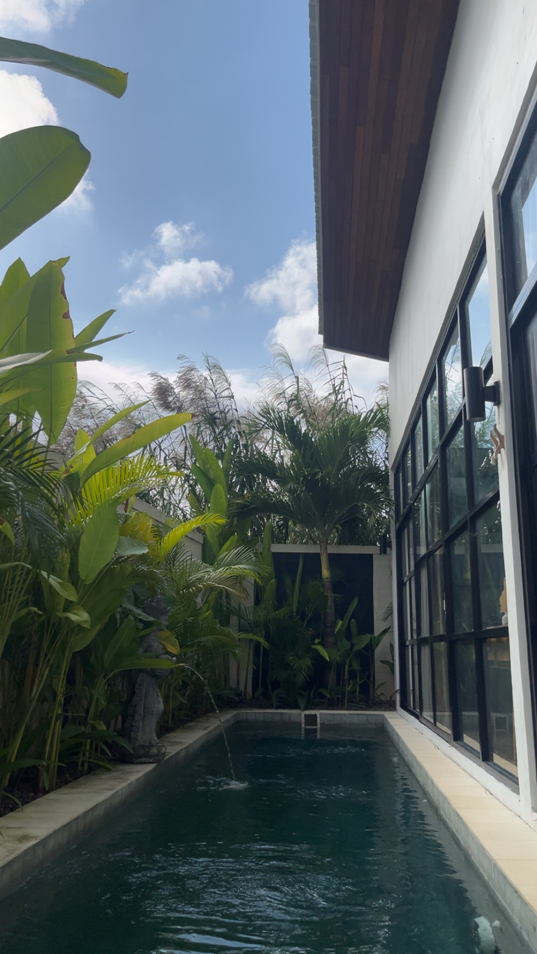 userImage-1