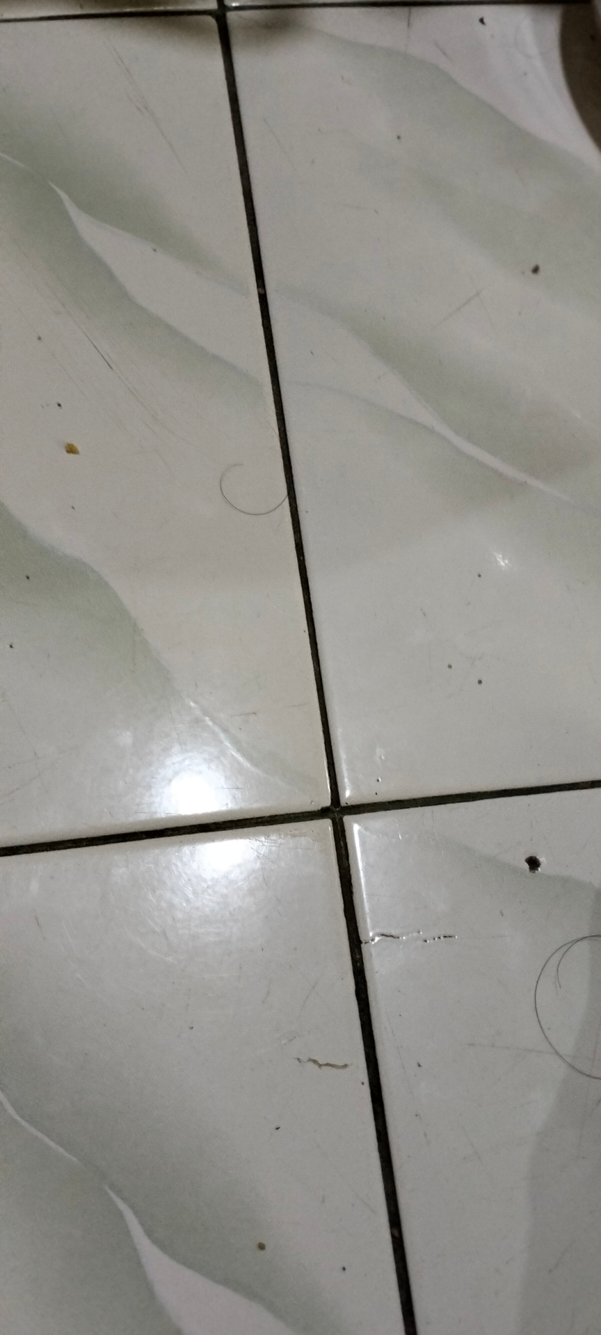 userImage-10