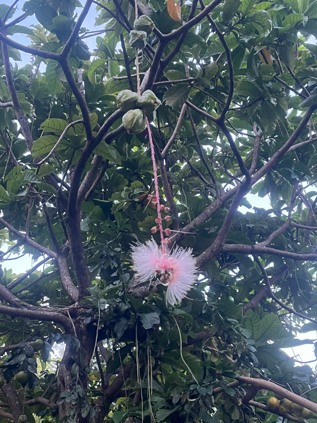 userImage-3