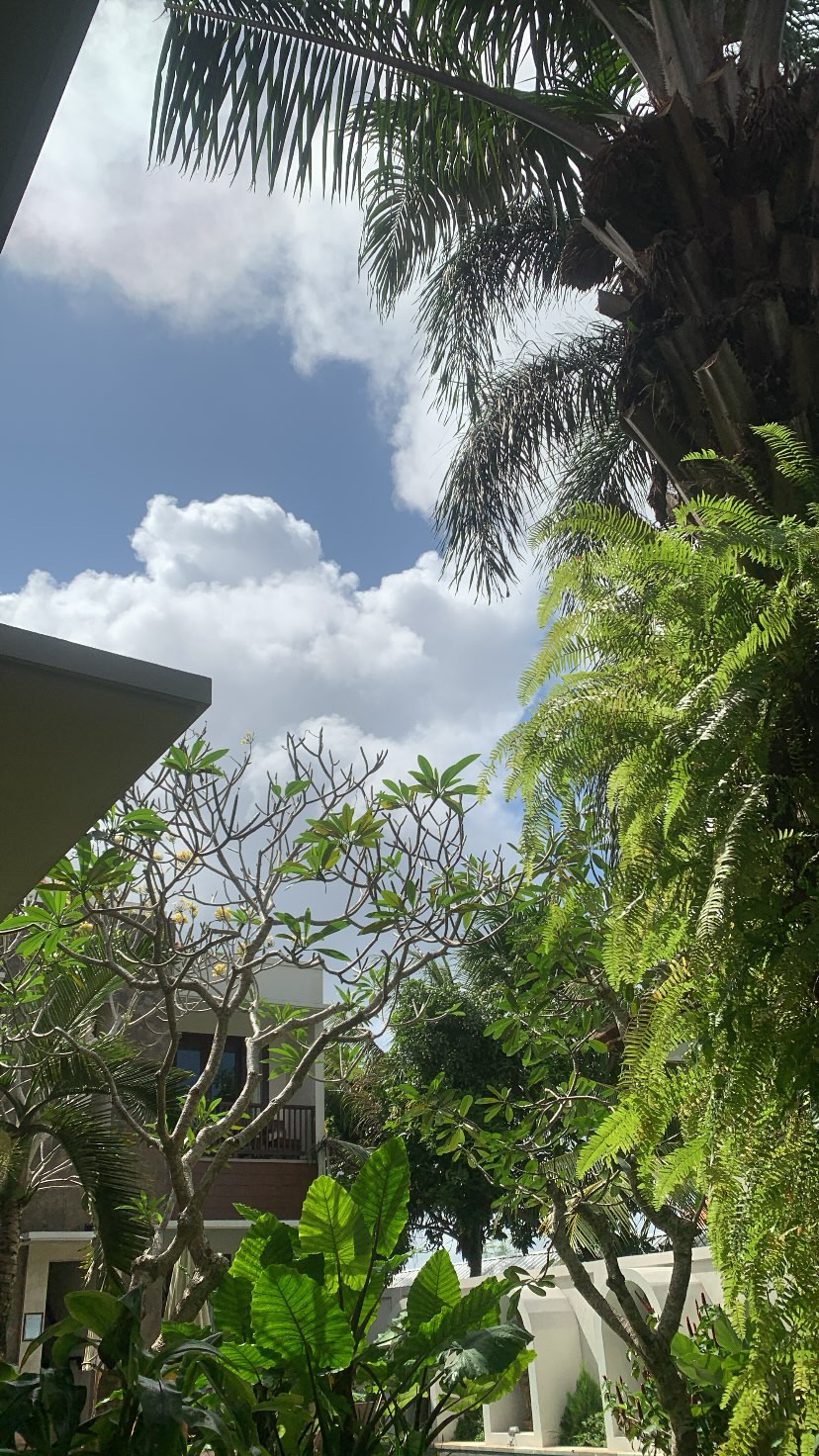 userImage-9
