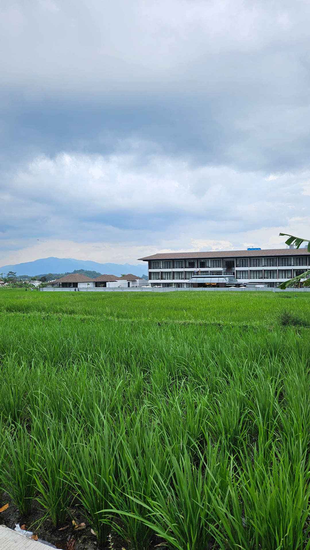 userImage-5