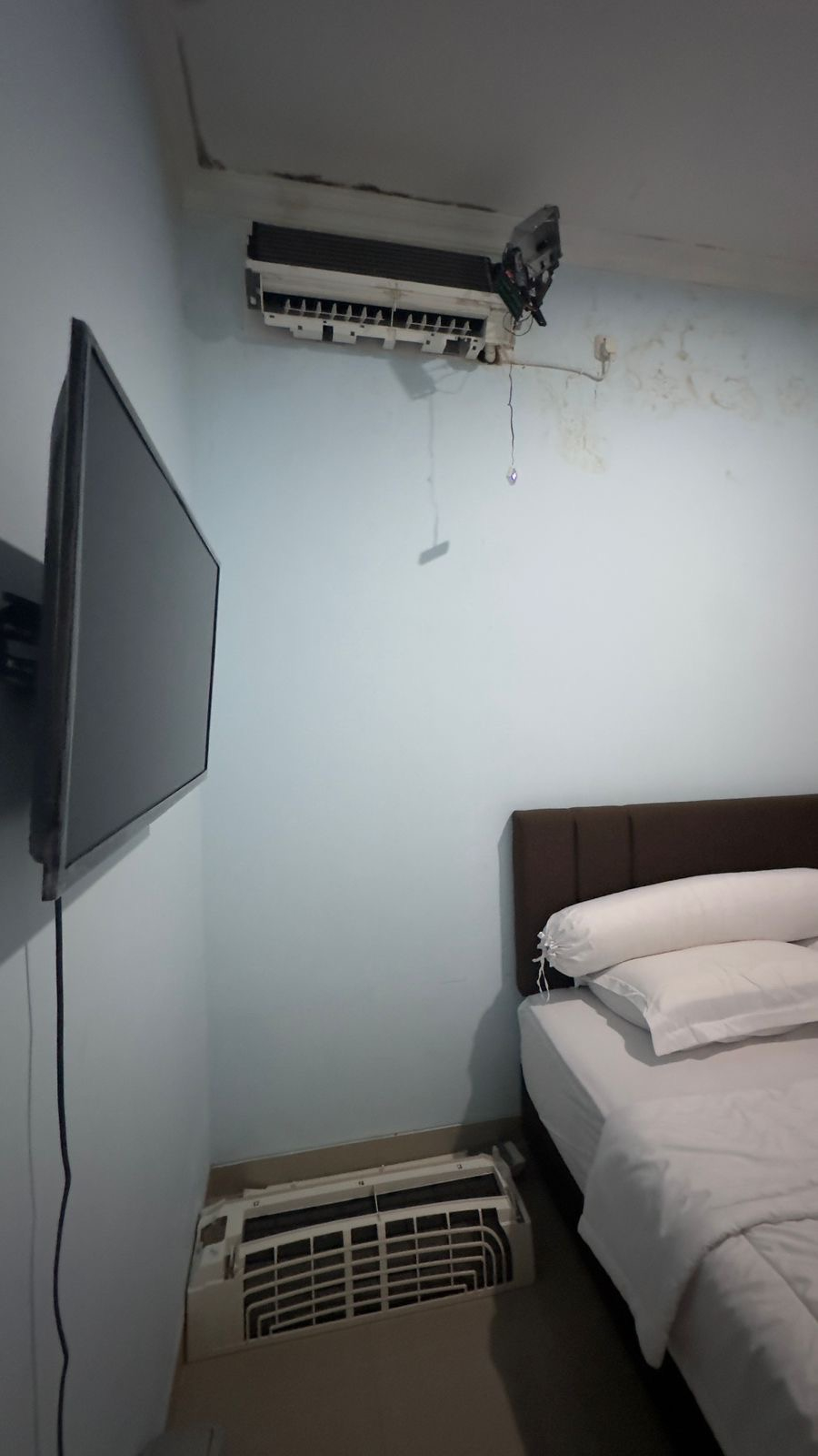 userImage-19