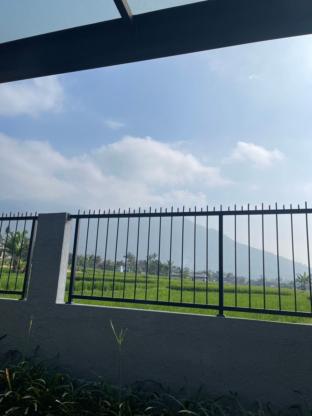 userImage-4