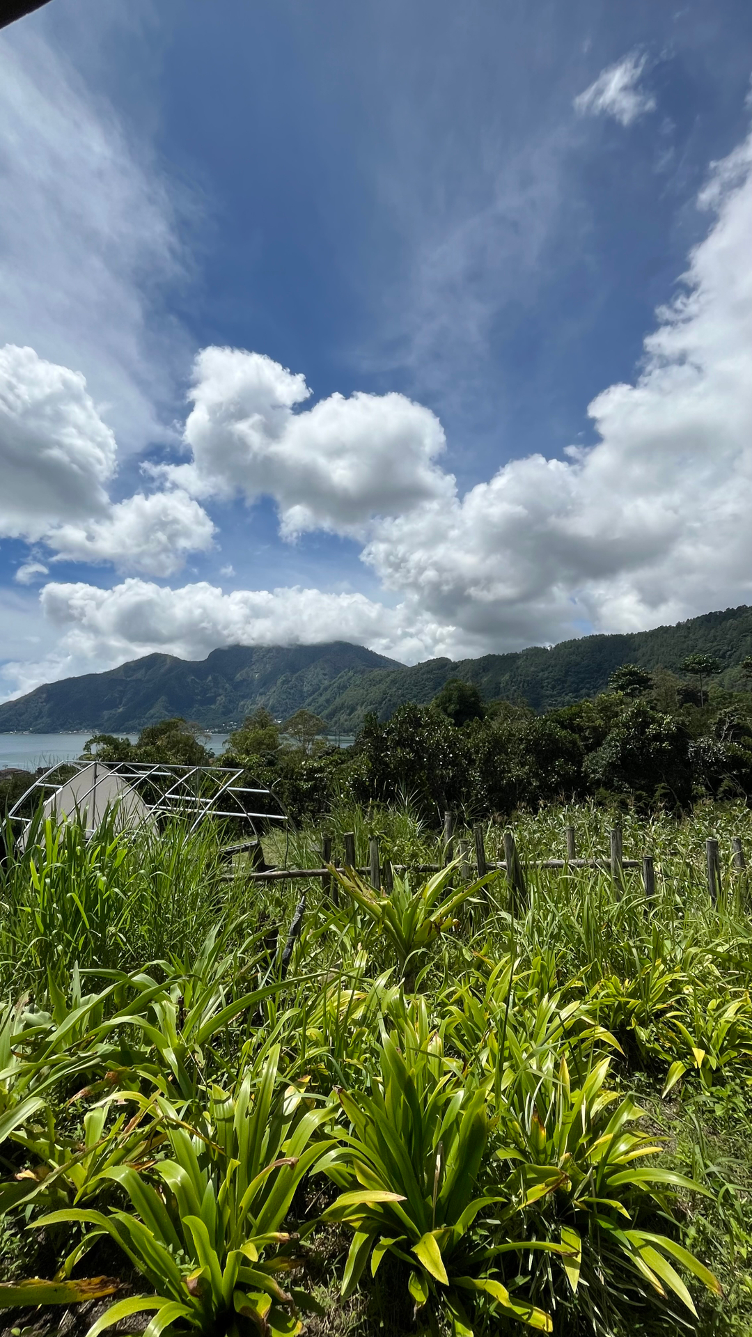 userImage-1