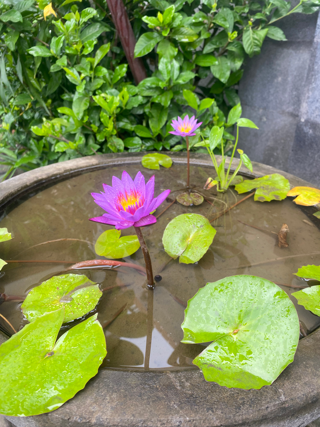 userImage-3