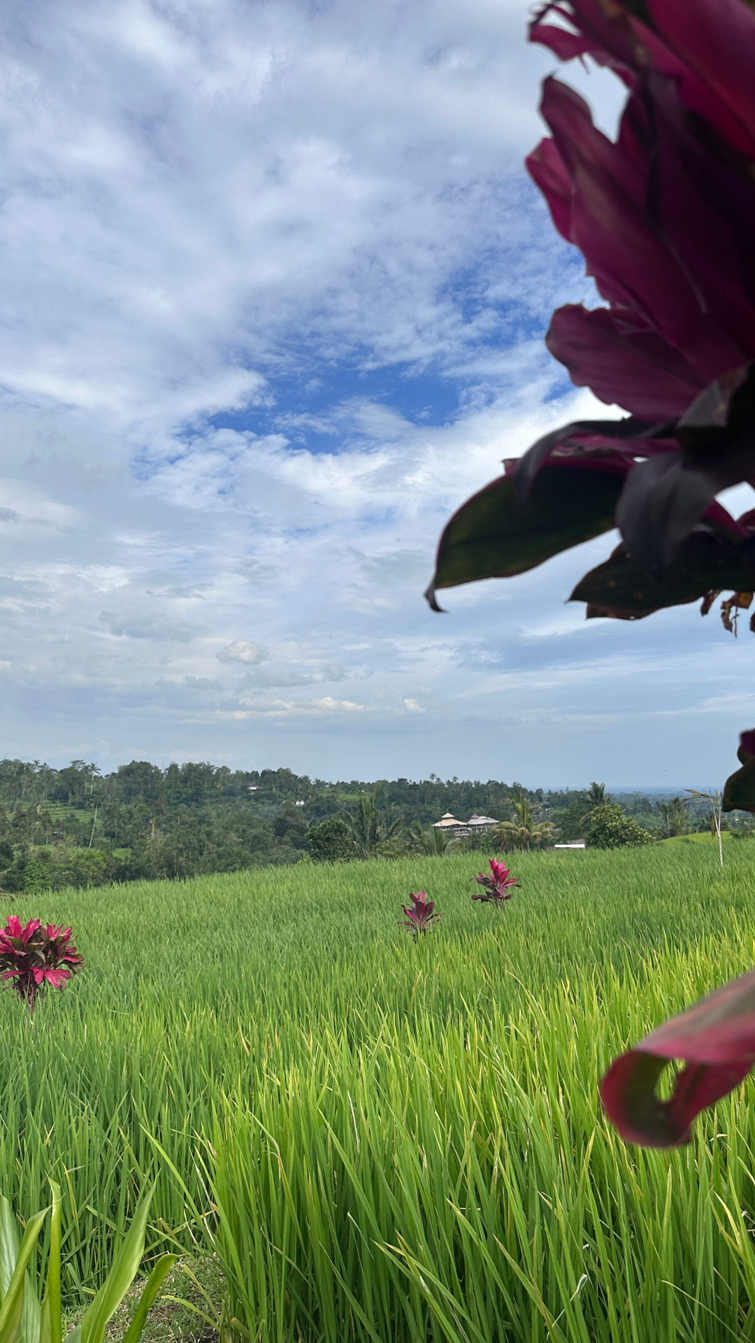 userImage-1