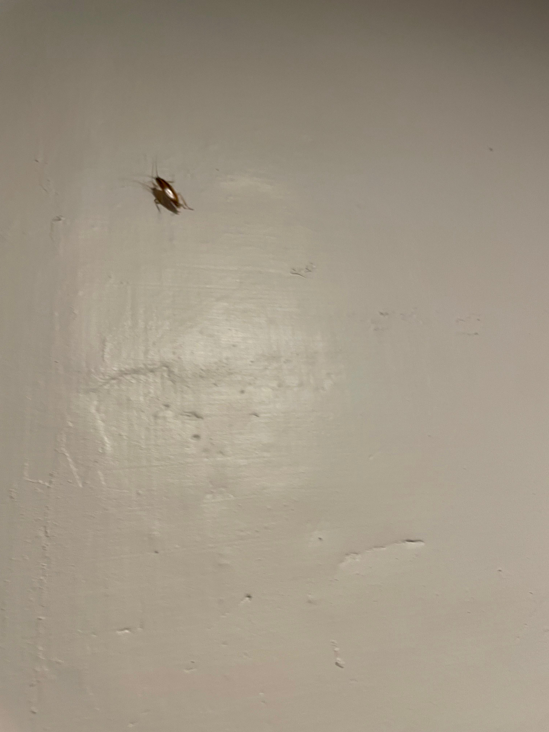 userImage-4