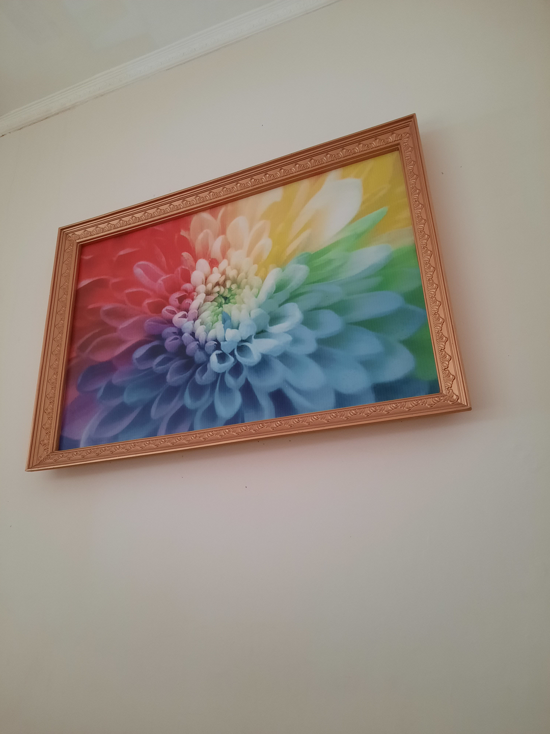 userImage-0