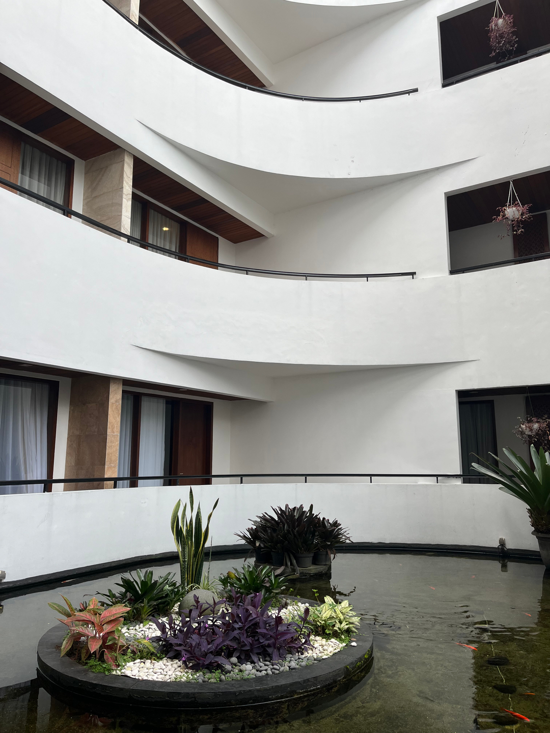 userImage-1