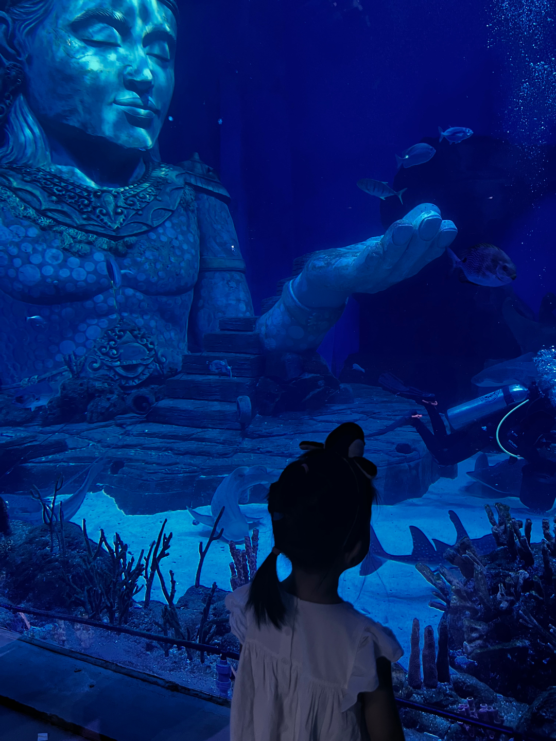 userImage-3