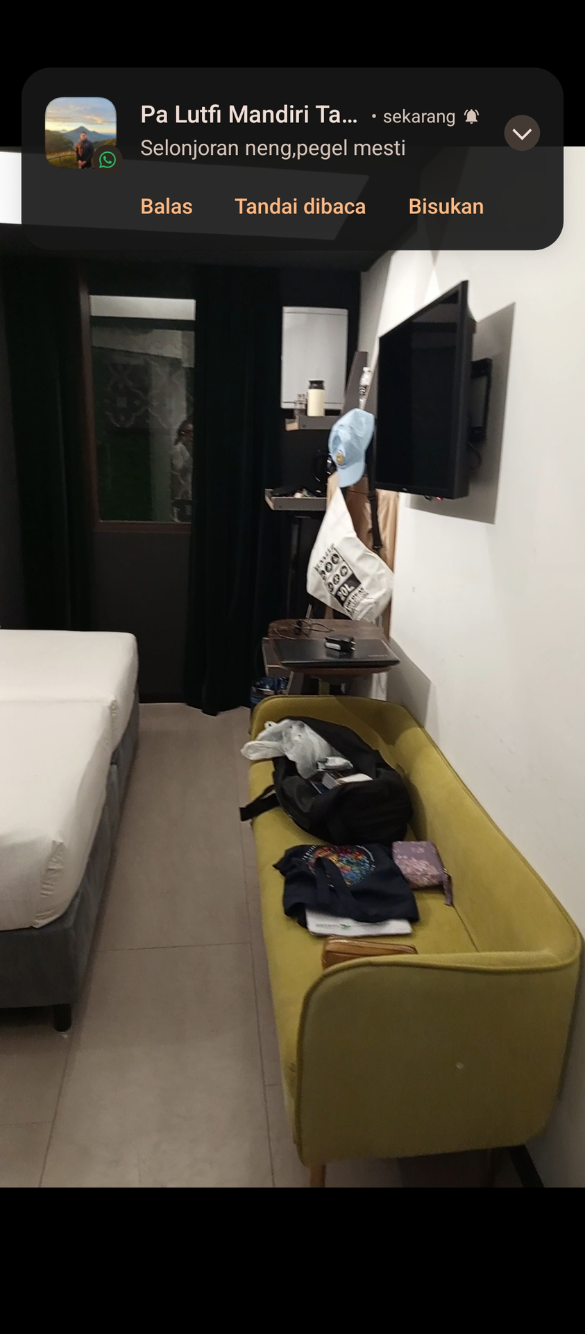 userImage-19