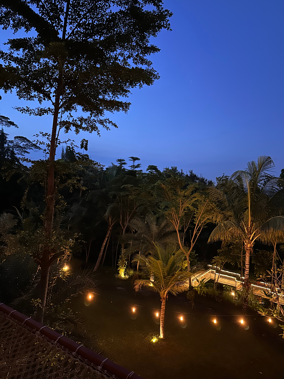 userImage-13