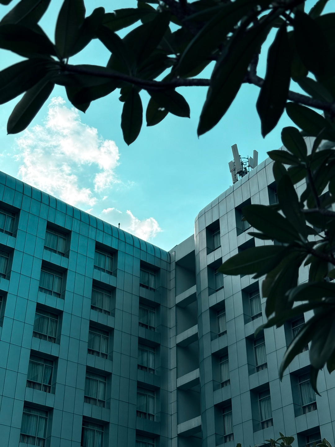 userImage-2