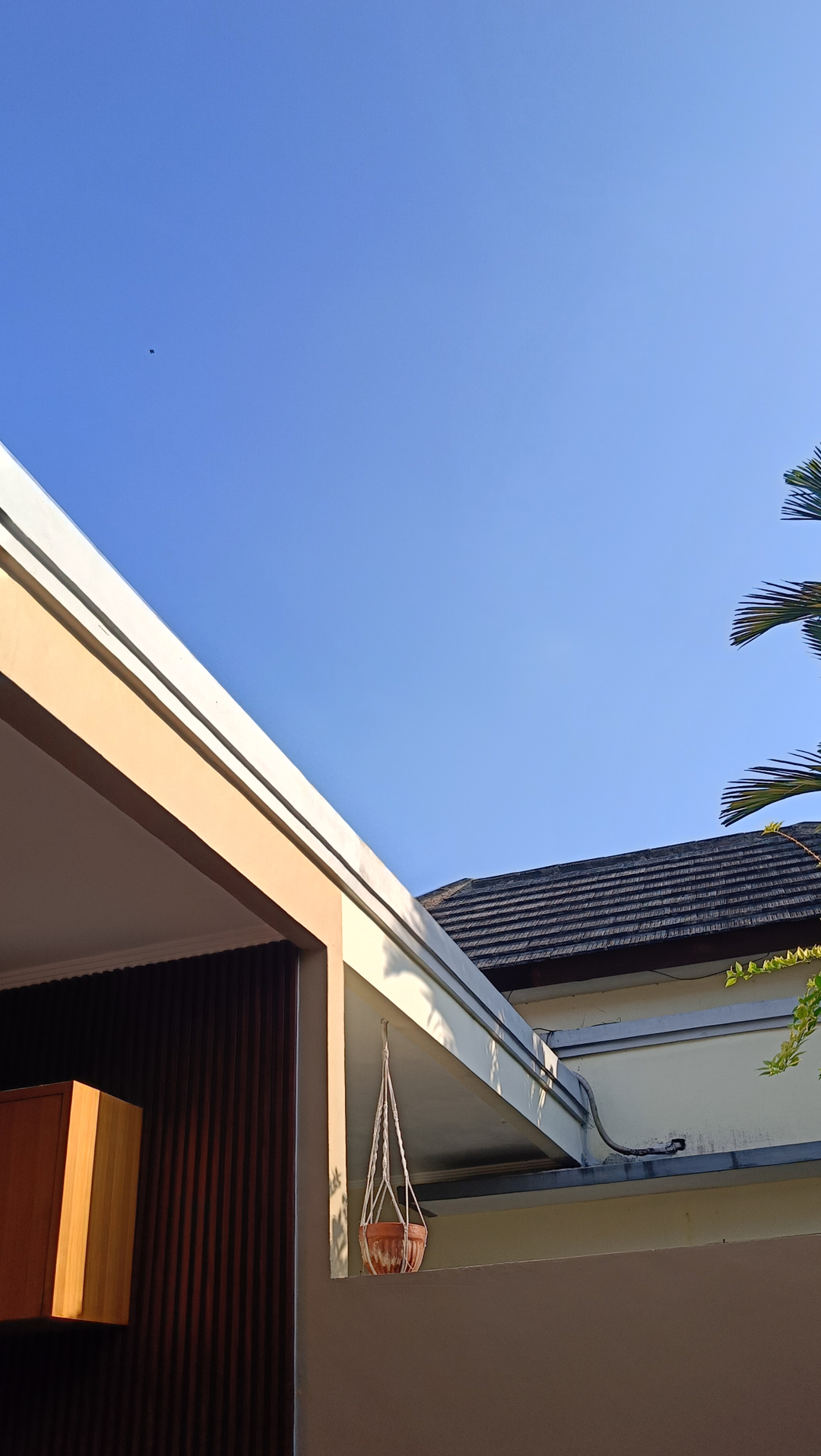 userImage-4