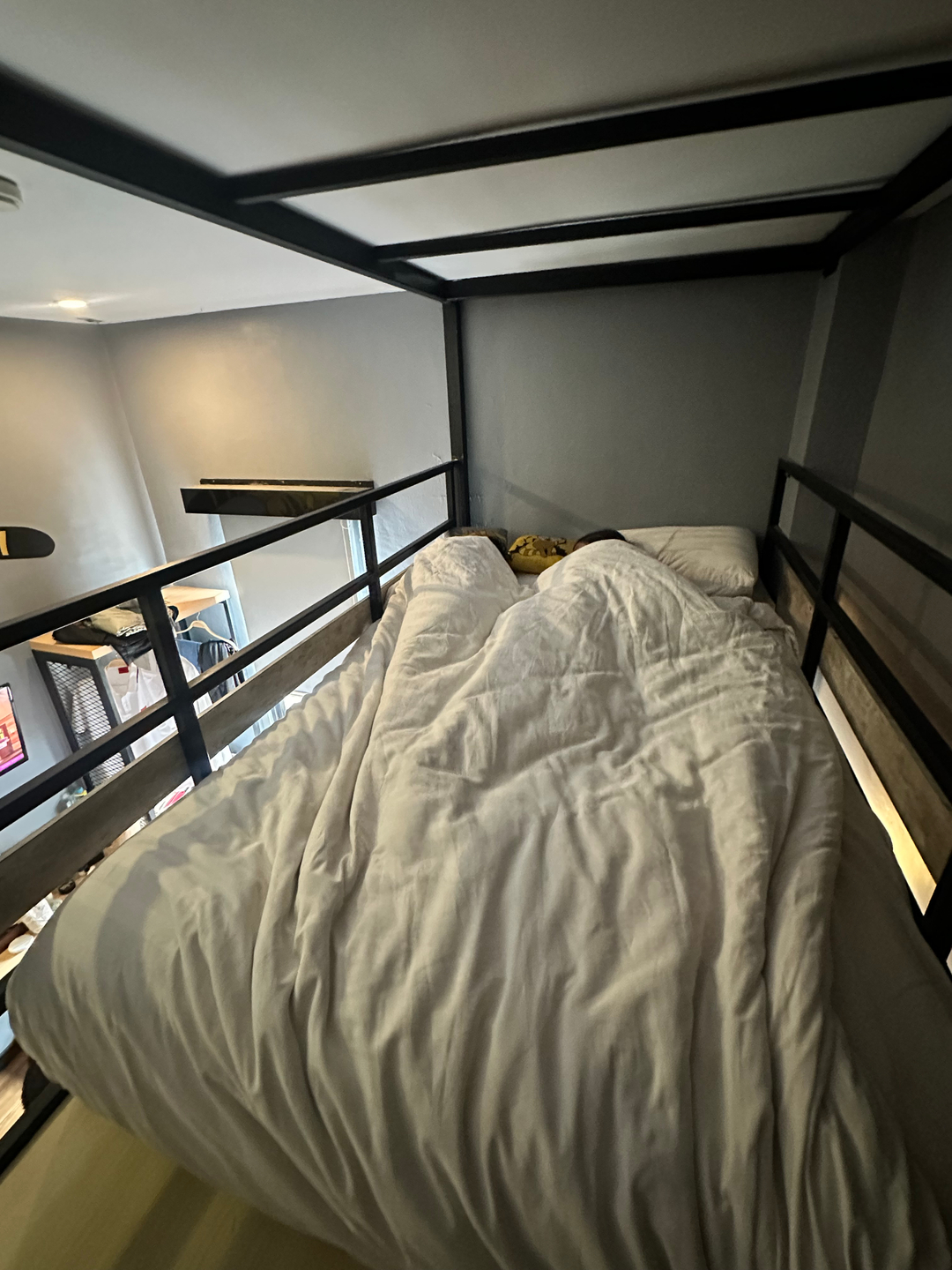 userImage-19